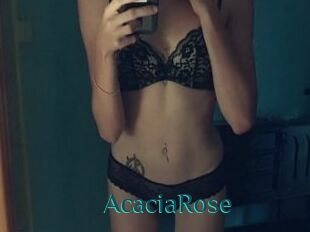 AcaciaRose