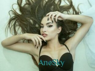 AneSky