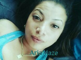 Aria_Maze