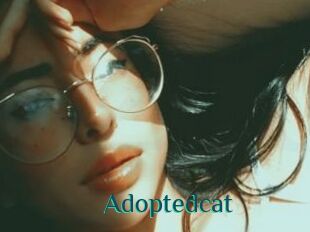 Adoptedcat