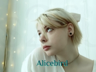 Alicebird