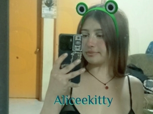 Aliceekitty
