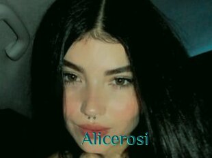 Alicerosi