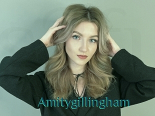 Amitygillingham