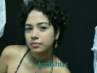 Anashus