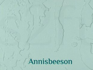 Annisbeeson