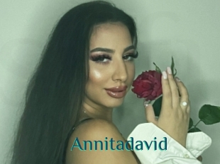 Annitadavid