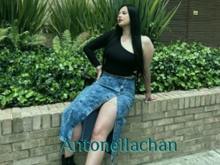 Antonellachan