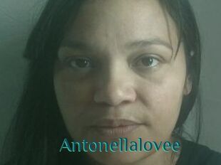 Antonellalovee