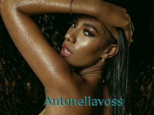 Antonellavoss