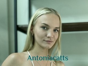Antoniacatts