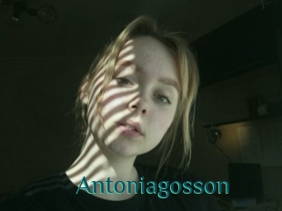 Antoniagosson