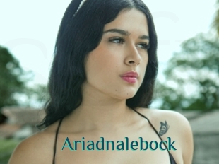 Ariadnalebock