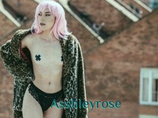 Asshleyrose