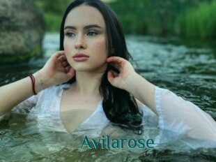 Avilarose
