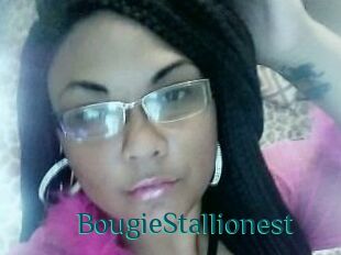BougieStallionest