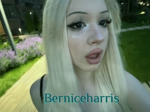 Berniceharris