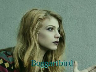 Boggartbird