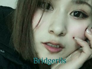 Bridgerils