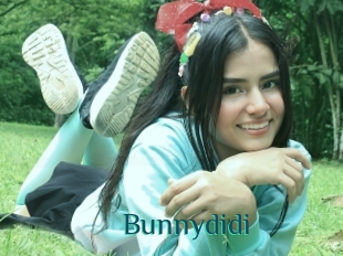 Bunnydidi
