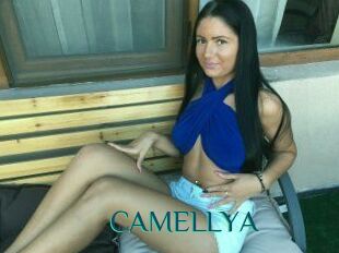 CAMELLYA_