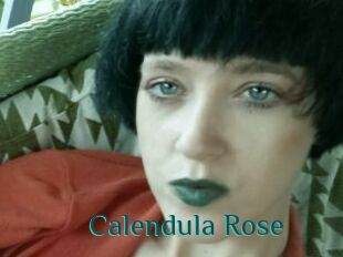 Calendula_Rose