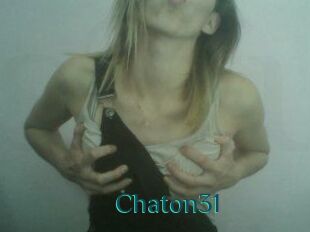 Chaton31