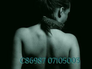 C86987-07105003