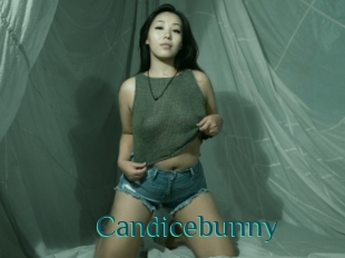 Candicebunny