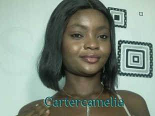 Cartercamelia