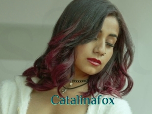 Catalinafox