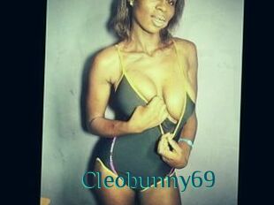 Cleobunny69
