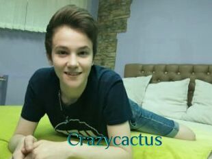Crazycactus