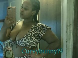 Curvybunny19