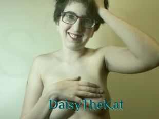 DaisyTheKat