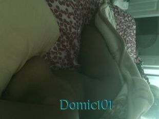 Domic101