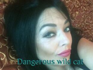 Dangerous_wild_cat