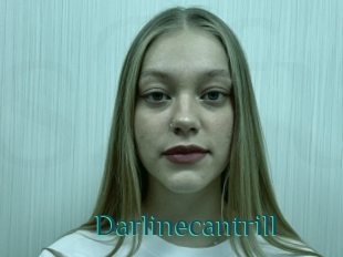 Darlinecantrill