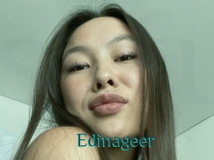 Edinageer
