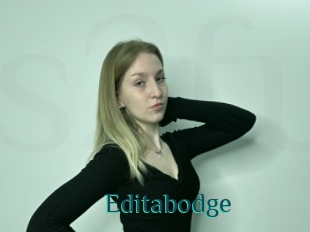 Editabodge