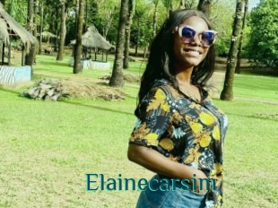 Elainecarsim