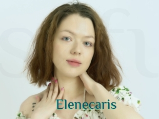 Elenecaris