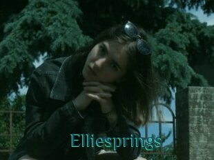 Elliesprings