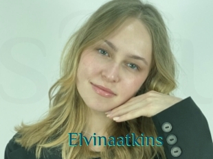 Elvinaatkins