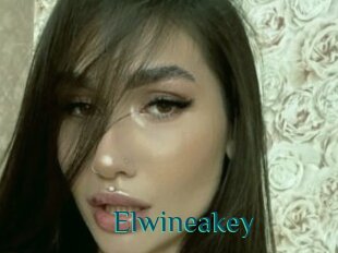 Elwineakey