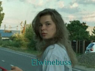 Elwinebuss