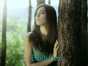 Emilyflow