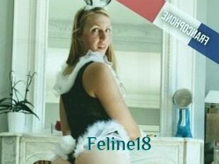 Feline18
