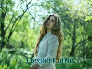FlexibleKatrin