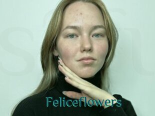 Feliceflowers